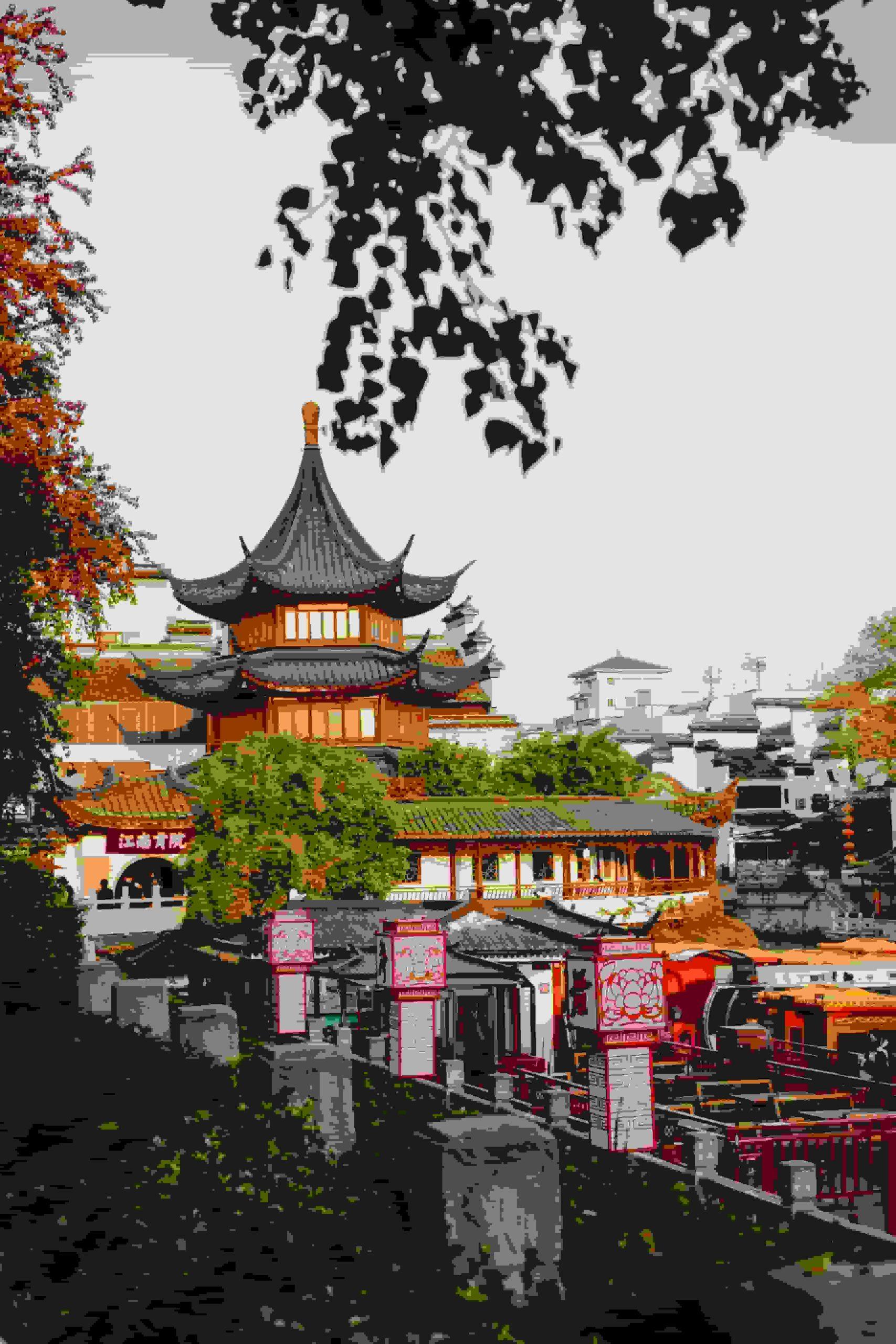 cina (1)