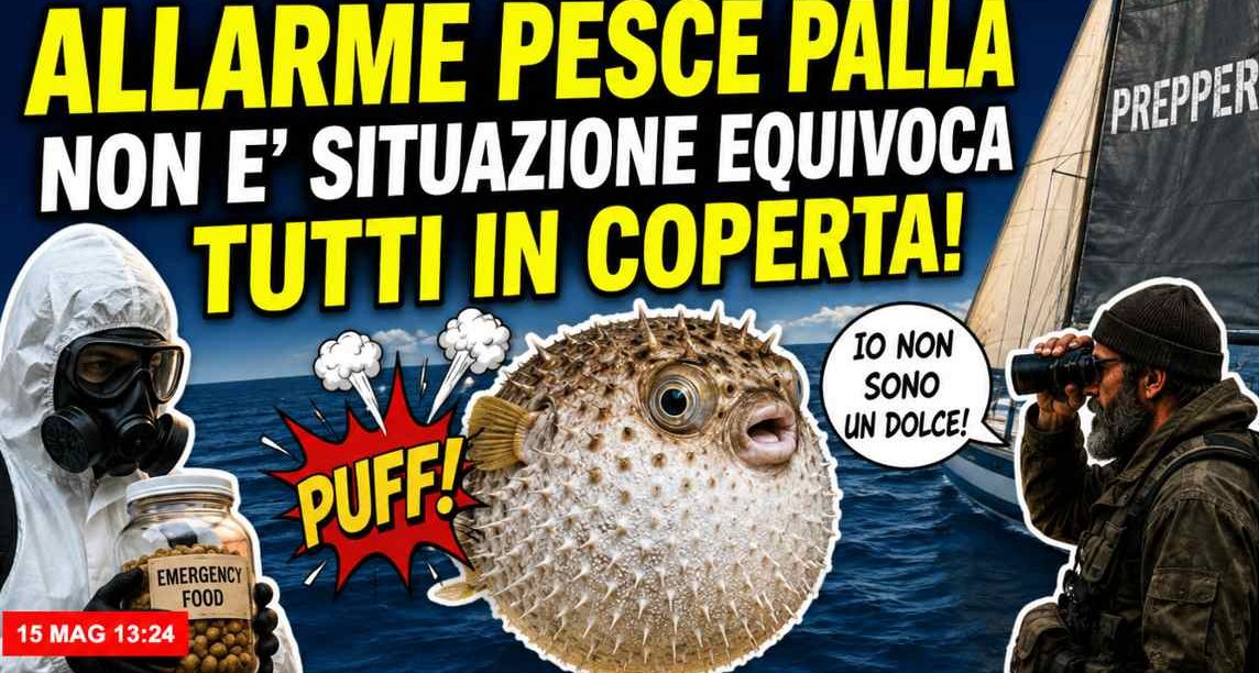 pesce_palla_